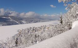 See Winter