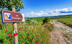 Via Francigena 