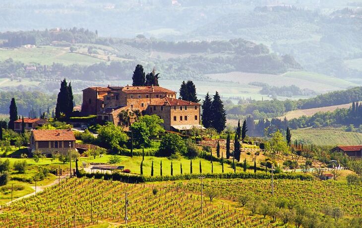 Toskana Weingut - Tuscany vineyard 03