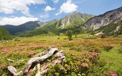 Ursprungalm - Schladming