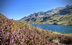 Bergsee in den Tauern