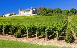 Chateau de Rully mit Weinbergen