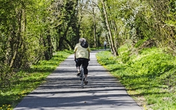 Radweg im Burgund