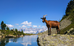 Spiegelsee in Schladming in der Steiermark, Österreich