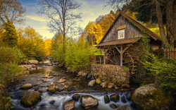 Schwarzwalder Wassermühle