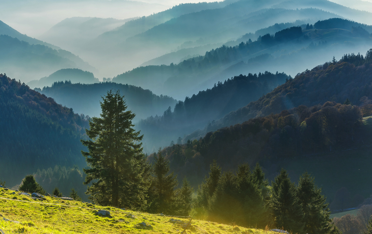 Schwarzwald - ein Wanderparadies