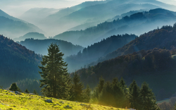 Schwarzwald - ein Wanderparadies