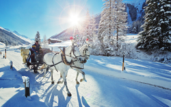 Pferdeschlitten im verschneiten Dischmatal in der Schweiz, gezogen von Kutschpferden im Winter bei Schneefall.