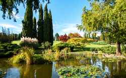 Reflexionen von Bäumen und Pflanzen in einem Teich im Parco Giardino Sigurtà in Valeggio sul Mincio, umgeben von üppiger Vegetation und Zypressen, unter einem klaren blauen Himmel.