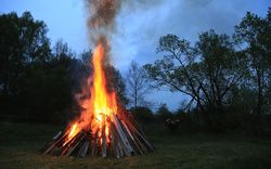 Ein großes Lagerfeuer brennt in der Dämmerung auf einer Waldlichtung. Im Hintergrund sind Bäume und ein dunkler Himmel zu sehen. Funken steigen aus dem Feuer auf.