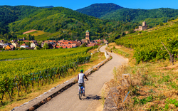 Person fährt Fahrrad durch Weinberge mit Dorf im Hintergrund.