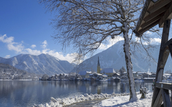 Winterliche Landschaft mit schneebedecktem Baum am Ufer eines Sees, Dorf im Hintergrund mit Kirche, umgeben von Bergen und klarem Himmel.