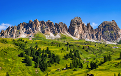 Grüne Almwiese mit Felsformationen und blauer Himmel im Hintergrund.