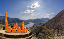 Weinfaß mit Flaschen vor Flusslandschaft bei Sonnenuntergang