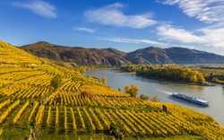 Weinberg an Fluss mit Boot und Hügeln im Hintergrund bei sonnigem Wetter
