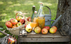 Äpfel und Apfelsaft auf Holzkiste im Freien neben Baum.