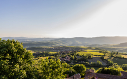 Landschaft mit grünen Feldern und Hügeln unter klarem Himmel.