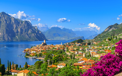 Landschaft mit See, Bergen, Dorf und Blumen im Vordergrund.
